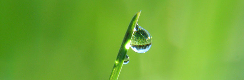 Regenwassernutzung